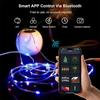 DIY RGBIC Smart String Lights USB Powered Bluetooth Remote Control Fairy Lights for Festoon Wedding Camping Garden Room Decor
