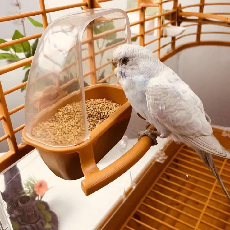 Bird Feeder for Cage with Perch Food Dispenser No Mess Plastic Food Container
