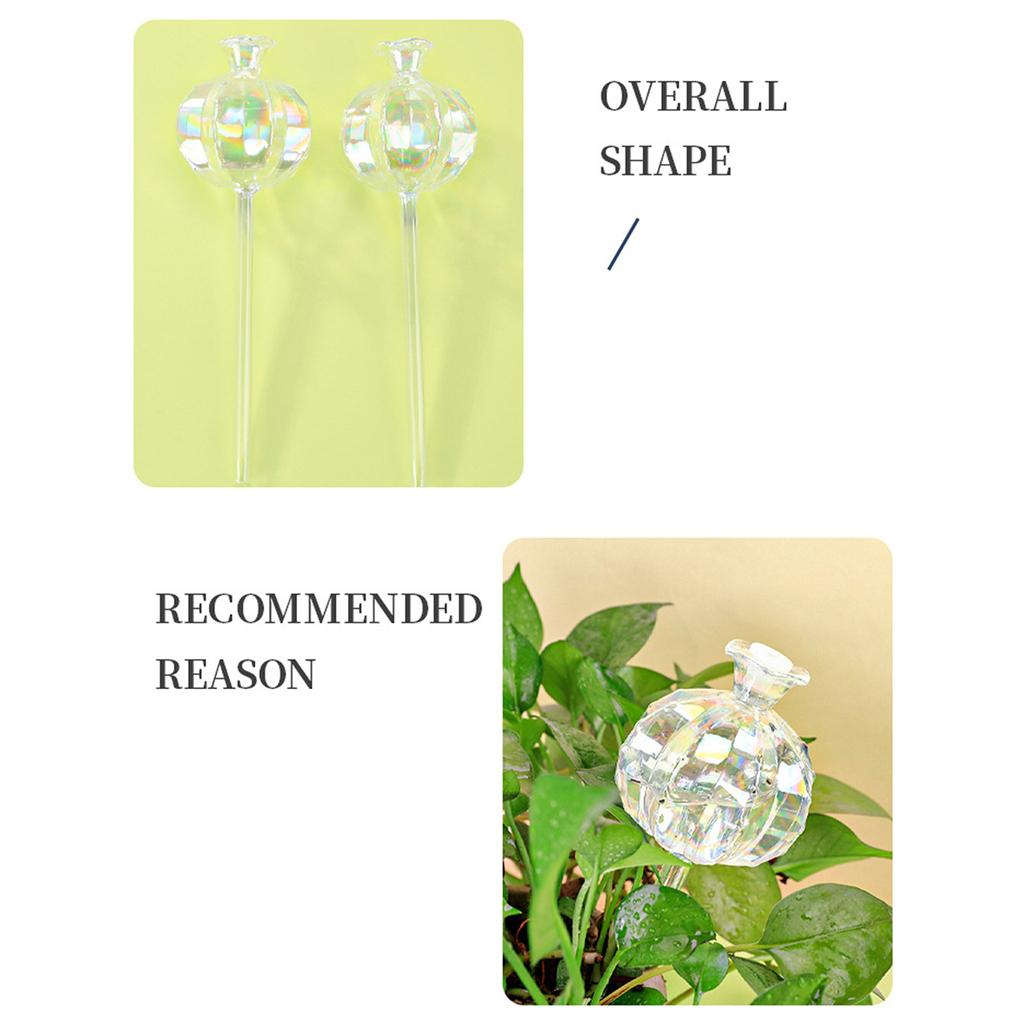 3pcs Plant Watering Globes Device Pomegranate Self Watering Planter Insert Automatic Water Irrigation Device for Indoor