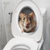 Cute and Realistic Hamster Bathroom Toilet Decoration and Beautification Stickers