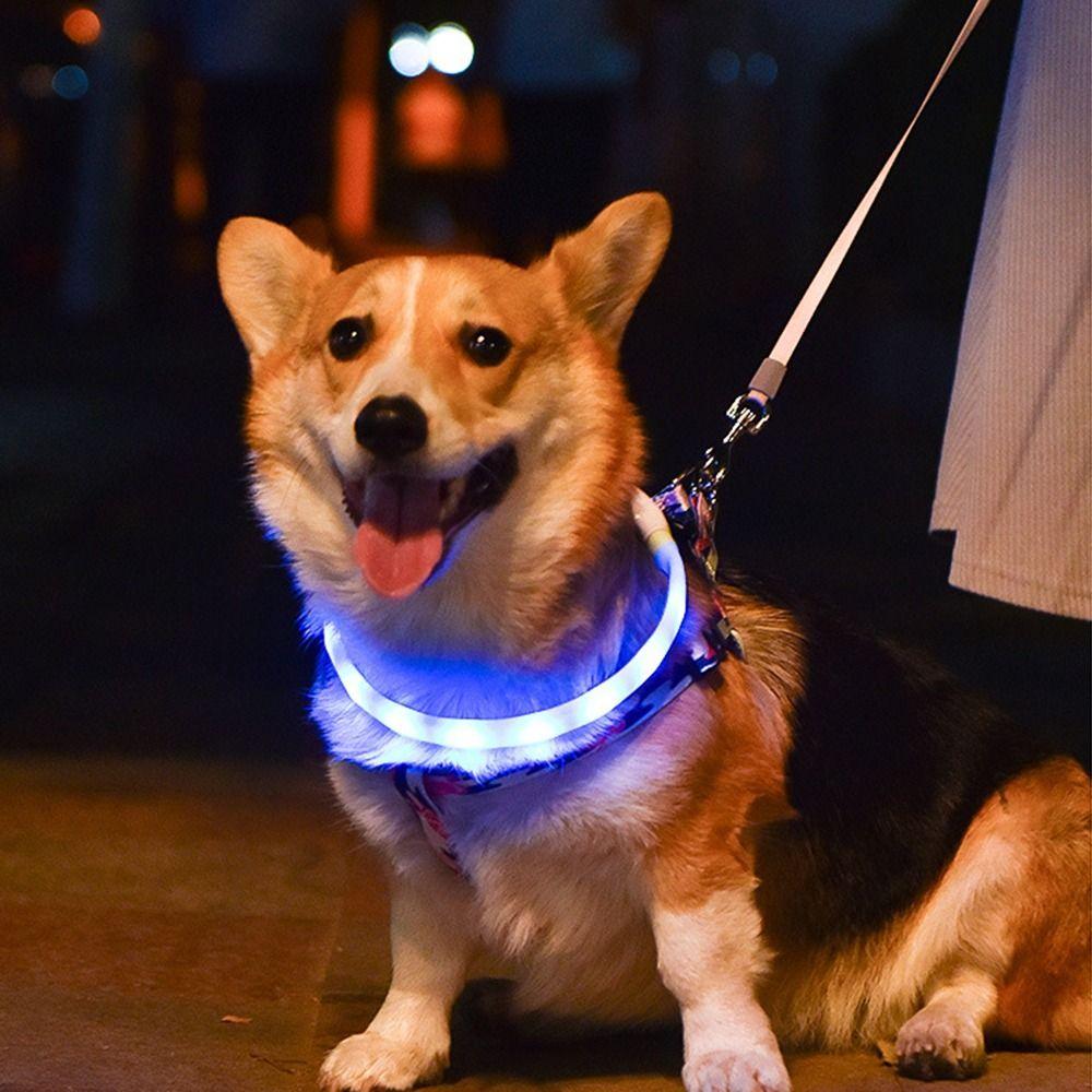 Lightweight USB Rechargeable Collar for Large Medium and Small Dogs, Glowing Dog Collar, 9 Flashing Modes, Soft Silicone Glowing