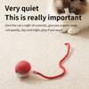 New Electric Cat Ball Toys Automatic Rolling Ball With Teaser Bird Cat Toys Pet Interactive Smart Sensor Rechargeable Cat Toys