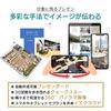 Megasoft 3D Office Designer PRO10