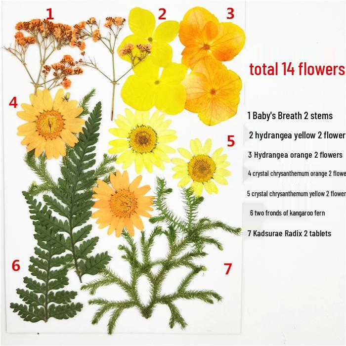 Handmade Kindergarten Collage: Real Dried Leaf and Flower Stickers for Face and Photo Decoration