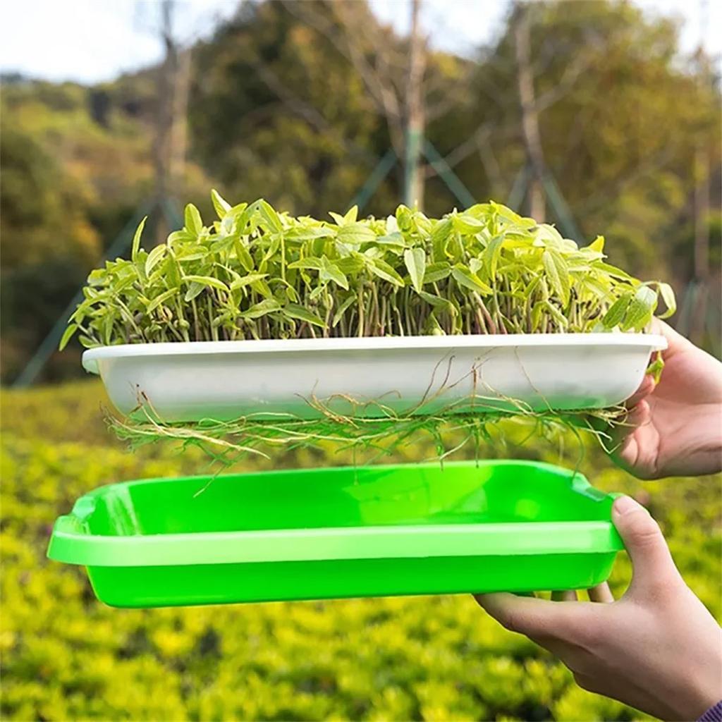 1PC Seed Sprouter Tray Wheatgrass Sprouting Pot Planter Soilless Bean Culture Hydroponic Nursery Plate Cat Grass Bonsai Seeds