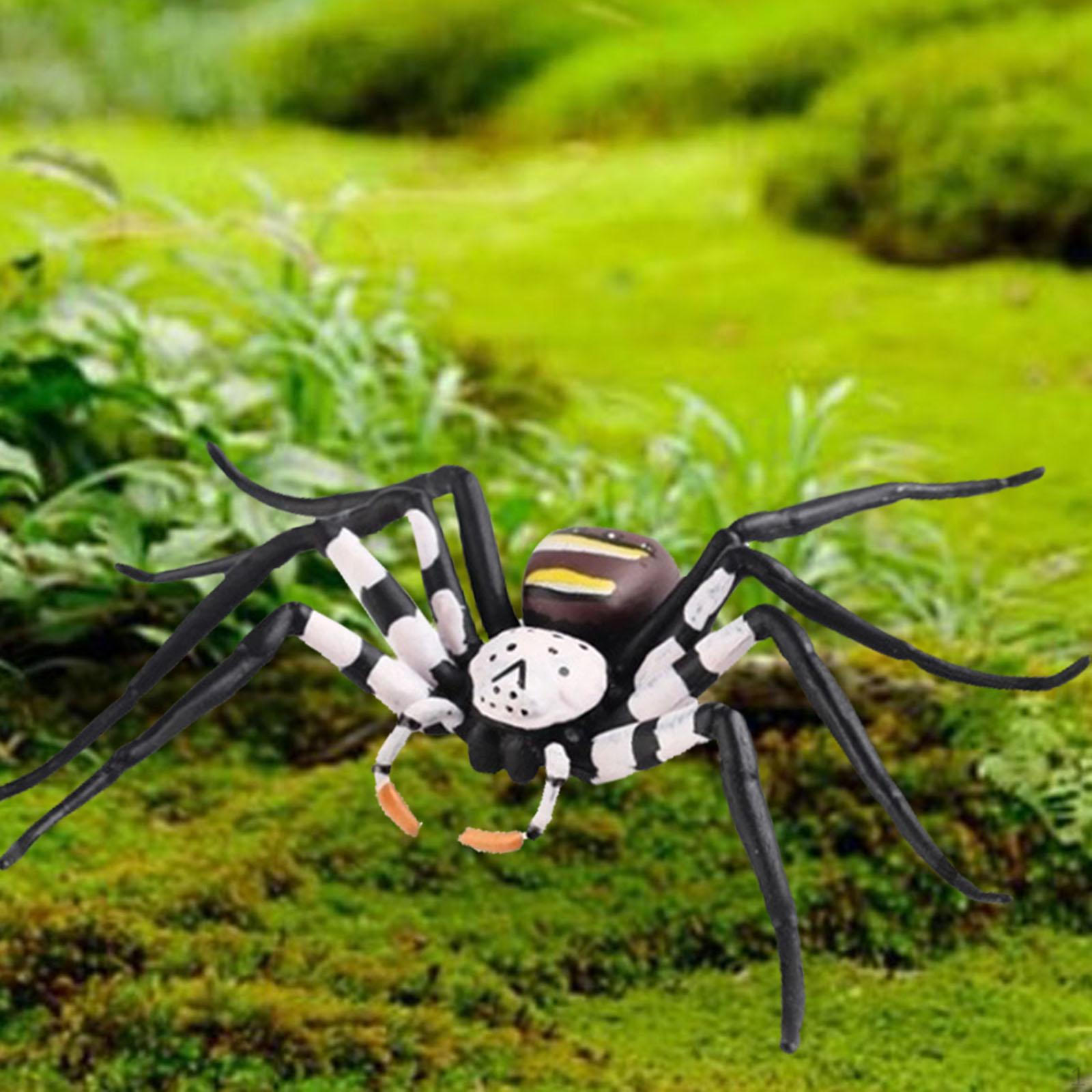 Spider Figurine Realistic Animal Figure Action Model Hand Painted for Kids Children