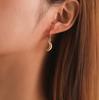 Accessories, Fashion Pop Three-dimensional Crescent Ear Buckle Earrings, Retro Geometric Trend Earrings