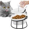Cat Bowls Tilted Double Ceramic Pet Bowls with Metal Tilted Raised Stand Anti Vomiting Cat Dish Feeder Pets Food Bowl for Puppy