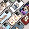 Kawaii Little Hedgehog Colored Magnetic Phone Case For APPLE iPhone 17 Air 16 14 13 12 Pro Max 15 Plus Wireless MagSafe Cover