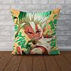Anime DrSSTONE Pillow Case For Car Sofa Decorative Home Doublesided Print Plush Square Throw Pillow Cushion Cover