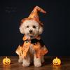 Ghost Themed Pet Outfit 1 Set Halloween Costume, Adjustable Wizard Hat And Cape, Cute Pumpkin Costume Prints, Fun for Small Dogs Cats Festive