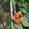 Squirrel Garden Statue Decor Statue Cute Resin Squirrel Outdoor Fun Garden Decor Yard Fence Backyard Tree Climbing Crafts