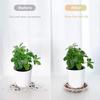 20pcs Plant Saucer Tray 6in 8in 10in 12in Heavy Duty Plastic Clear Flower Plant Pot Drip Tray for Indoor Outdoor