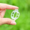 100 Pcs Plant Support Clips Plastic Gardening Clips for Securing Tomato Vine Reusable Plant Fixing Clips for Grape Climbing Plants