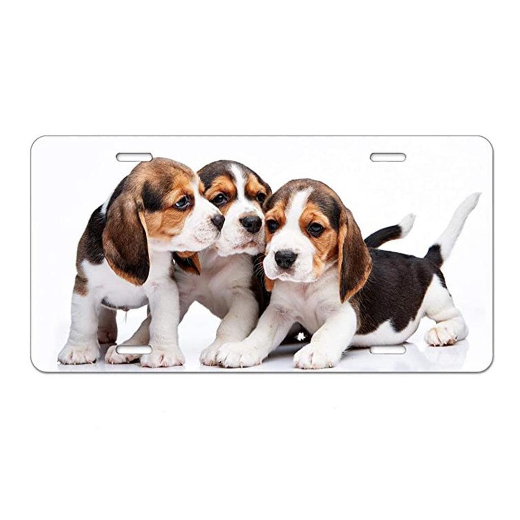 Sublimation Printed US Standard License Plate Metal Sign, 12x6 Inches, Hot-Selling Design