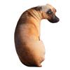 50cm/20in 3D Cute Bend Dog Printed Throw Pillow Lifelike Animal Funny Dog Head Cosplay Toy Washable Cushion Home Decor