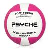 PSYCHE 'Wings of Flight' Size 5 Indoor Competition Volleyball