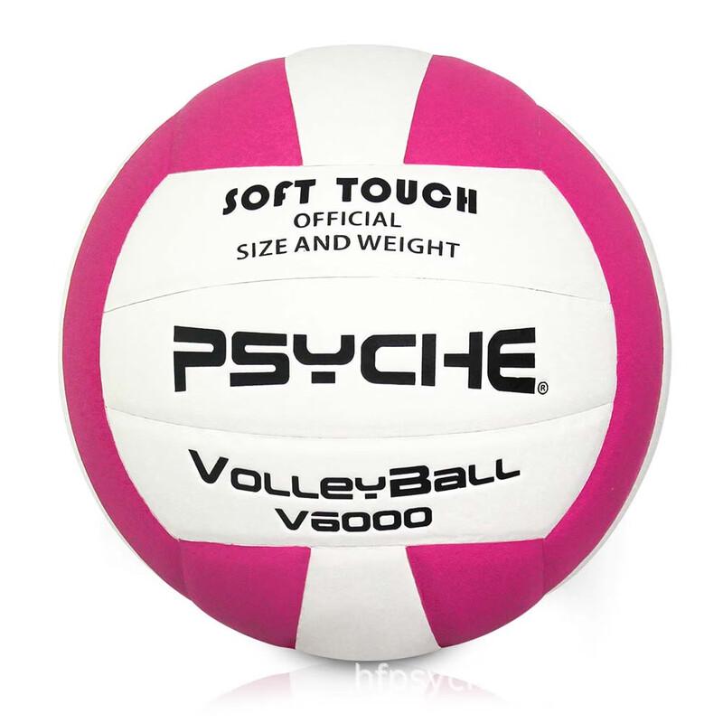 PSYCHE Wings of Flight Size 5 Indoor Competition Volleyball