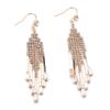 2024 Trendy Crystal Zircon Tassel Earrings for Versatile Style