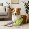 Anti-Lick Dog Knee Brace Warmth Pet Front Leg Support Easy Wear Dog Knee Pads  Shoulder Support