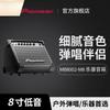Pioneer MB-8002M8 Portable Instrument Speaker (CN Version)