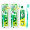 Double Mint Travel Toothpaste & Toothbrush Set (2-Pack)