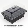 Seedling Tray Set: 12/24 Hole Three-Piece Seedling Box & Flower Pot Supplies.