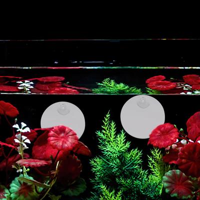 דגים ובעלי חיים ימיים – תחזוקת אקווריום