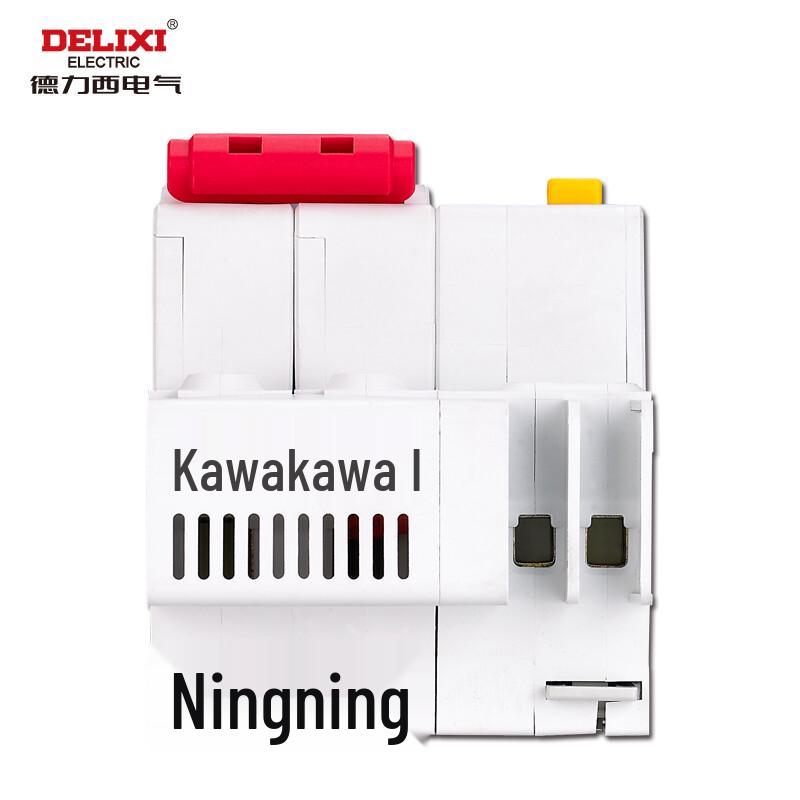 DELIXI ELECTRIC DZ47sLE 2-Pole Mini Circuit Breaker with Leakage Protection