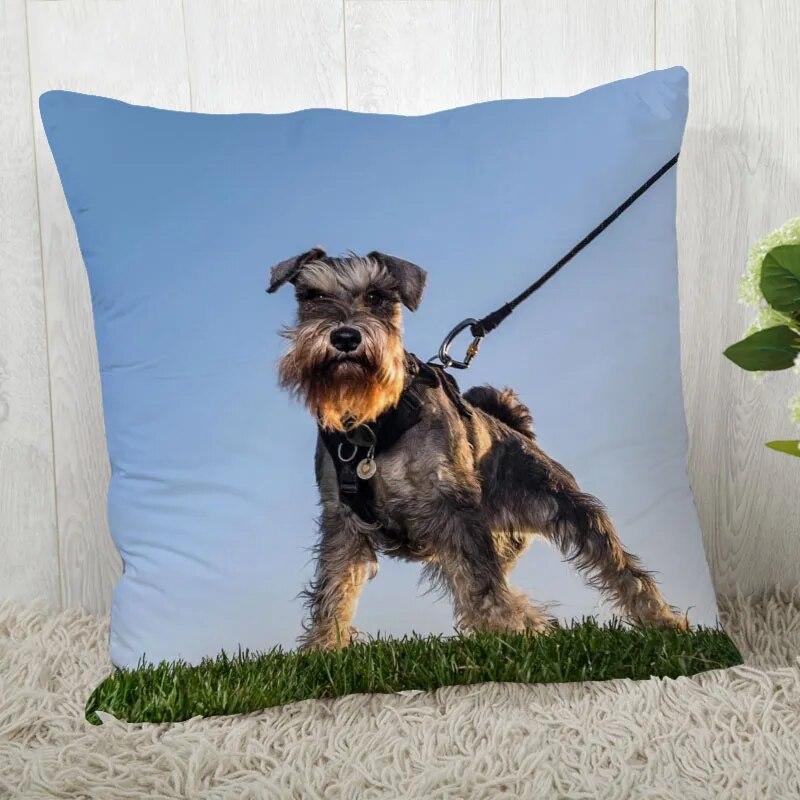 Pillowcase Schnauzer  Modern Home Living Room Decoration