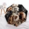 Black Puppy pattern, automatic folding umbrella, portable and foldable design, 8 ribs, a Christmas or birthday gift.