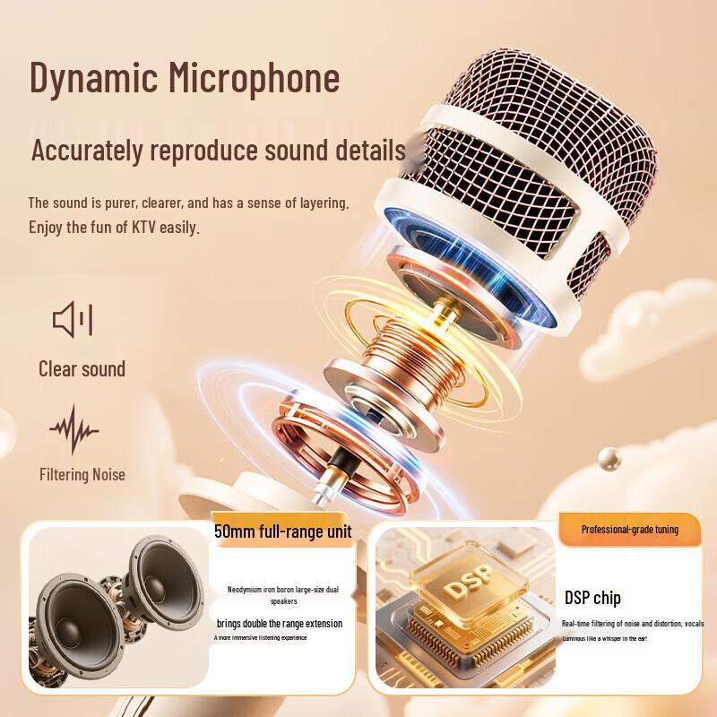 Edifier PP203S Portable Bluetooth Karaoke Speaker CN Plug (adapter Included)