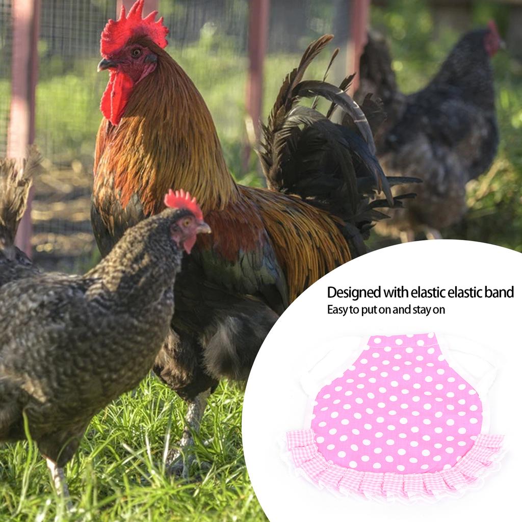 Hühnersattel Hennen-Schürze Vater Fixierer Flügelrücken-Schutz Hennen-Schürze mit elastischen Trägern