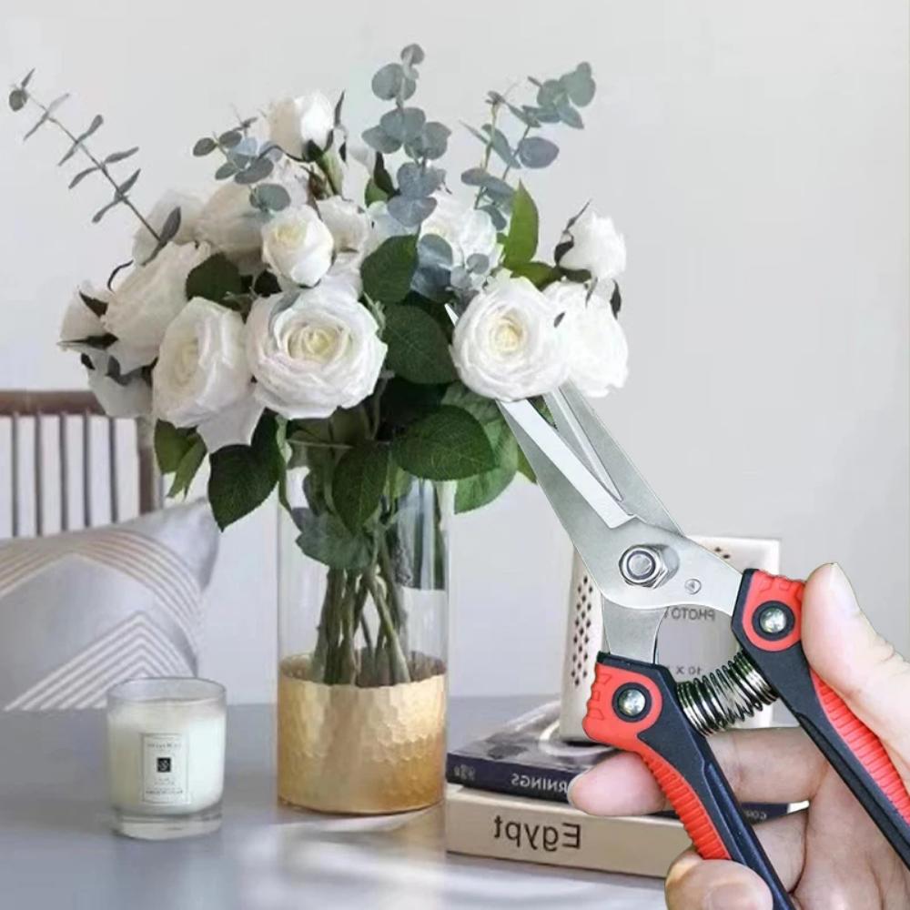 Stainless Steel Pruning Shears Sharp Branch Scissors with Non Slip Handle for Garden Fruit Tree Trimming Tools
