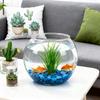 Fischschale Klar Bruchfest Aquarium Zubehör Blasenpflanzer Schale für Tischmittelstück Partydekorationen Heimveranstaltung
