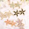 Stainless Steel Starfish Drip-Oil Earrings for Women – Trendy, Versatile, Vacation-Style Accessory