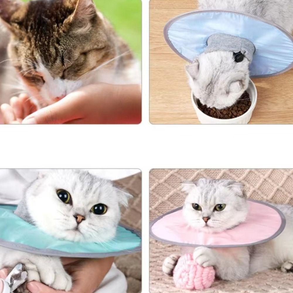 Adjustable Pet Cone Collar Anti-Slip Pet Recovery Cone Cat Anti-licking Circle  Cat