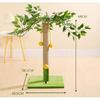 Lemon Tree – matches the image