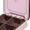 Portable Mini Medicine Box with Separate Compartments Plastic Waterproof Medicine Organizer for