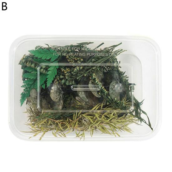 Artă populară Floare uscată Moale Vii Estetică