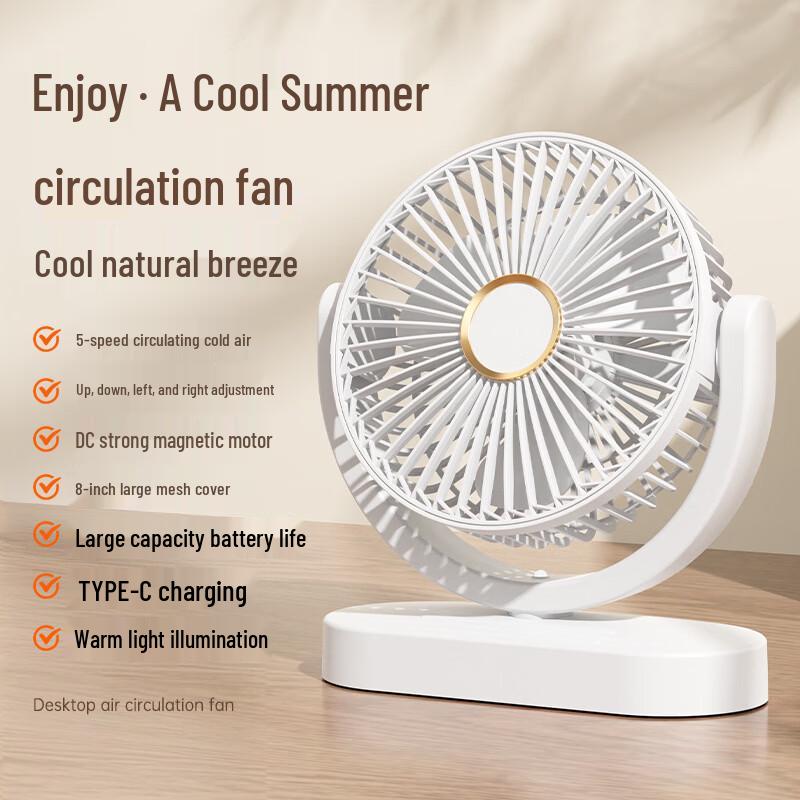 OLOEY Desktop LED Light Fan