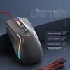 Periferice pentru calculatoare – Mouse-uri