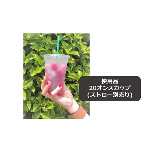 Niche Plus Takeout Clear Cups, 20 oz (600 ml) with Flat Lids, Pack of 50, 20 fl oz