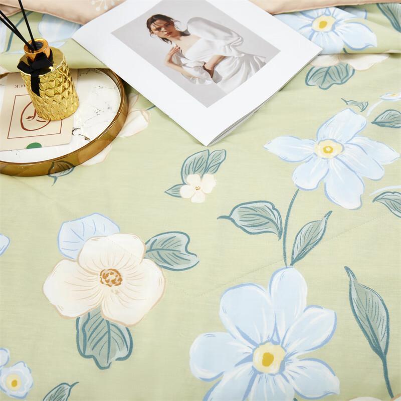 Tangna Cloud Velvet Long-Staple Cotton Summer Quilt