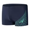 Speedo Mens Medley Stripe Swim Shorts