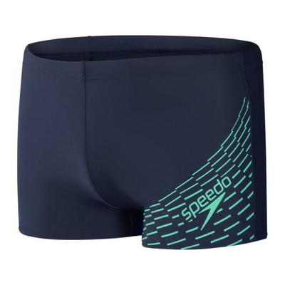 Speedo Mens Medley Stripe Swim Shorts