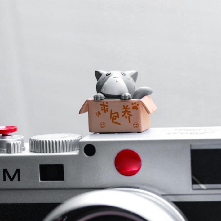 3D kreslený kryt sáněk fotoaparátu Roztomilý pro kočku DSLR Prachotěsný kryt sáněk pro DS