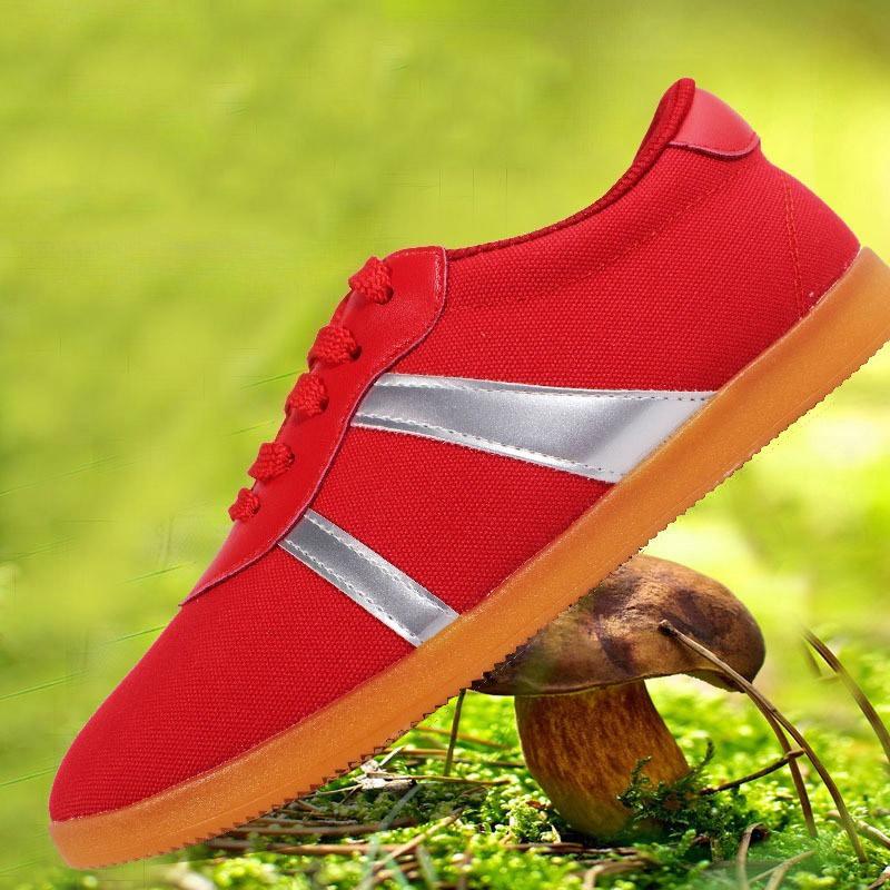 Martial Arts Tai Chi Kung Fu Shoes Taekwondo Wushu Karate Sports Training Shoes Traditional Chinese Canvas Shoes