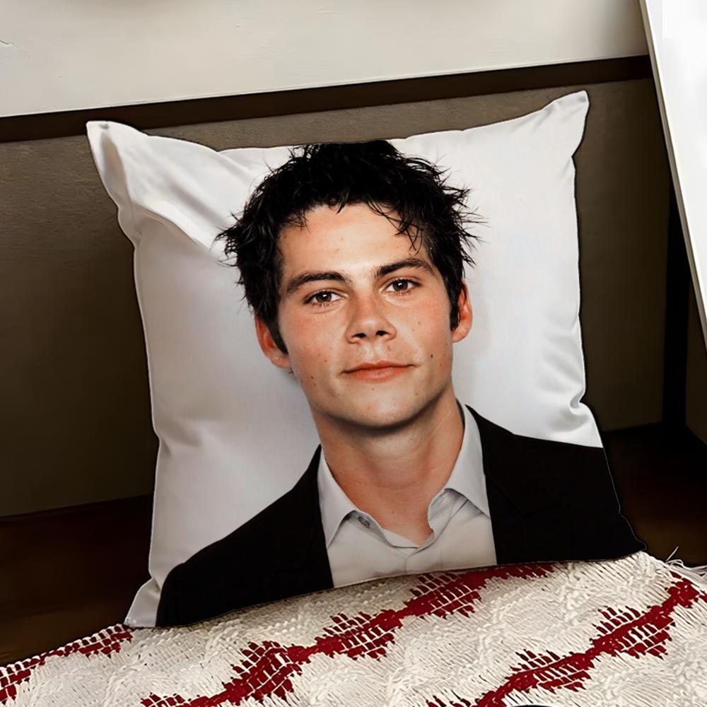 DDylan OBrienS Cushion Cover Reversible Soft Durable Pillow Cover Home  Car MultiScene Use for Daily Comfort
