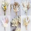 Mini Dried Flower Bouquet, Gypsy Rabbit Tail Reed Gift Box Car Decoration Wedding Corsage Souvenir Dried Flowers